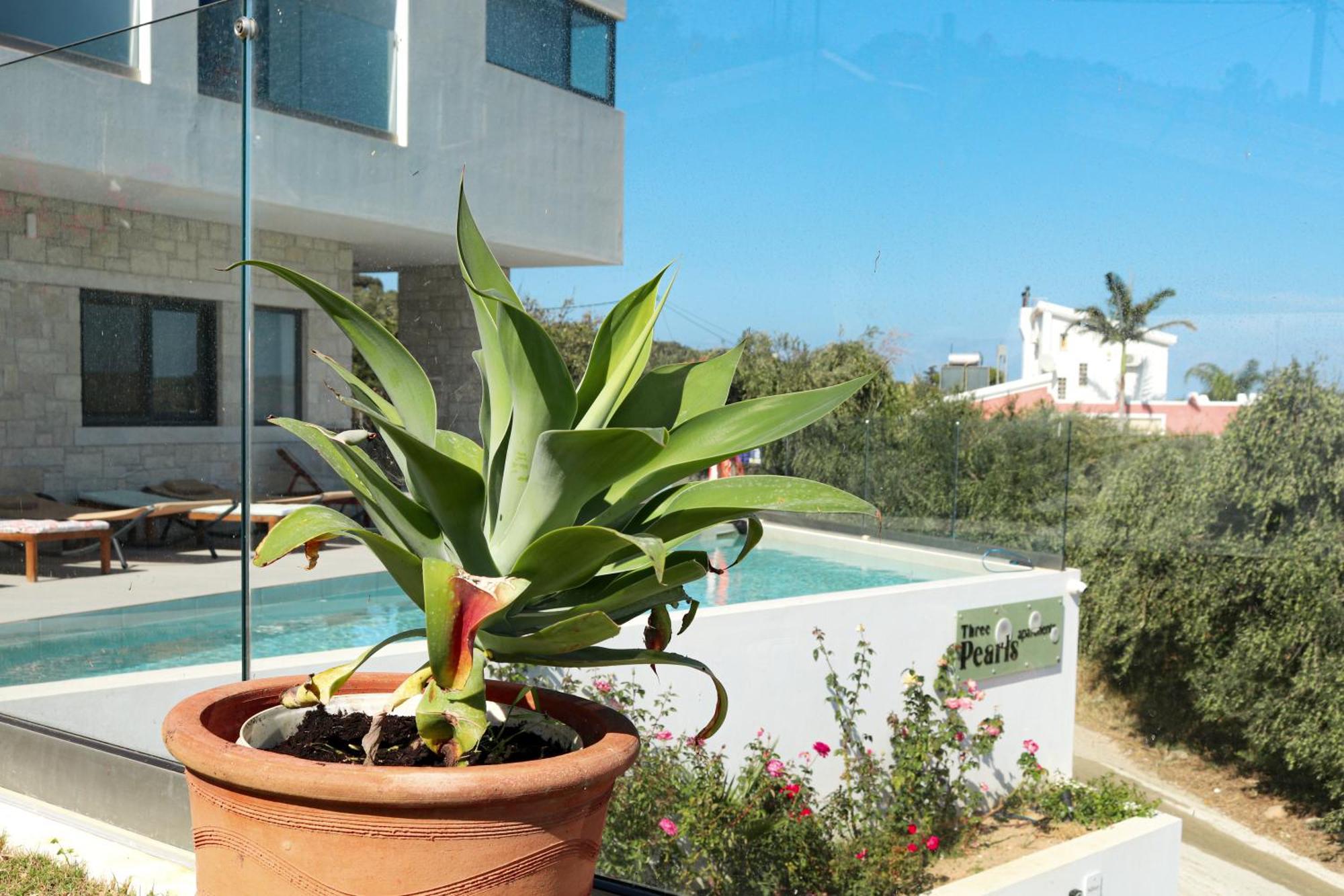 Апартаменти Cream Cozy Getaway - 3 Pearls Pool Retreat Dempla Екстер'єр фото